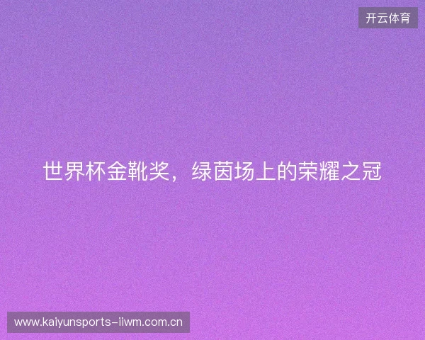 世界杯金靴奖，绿茵场上的荣耀之冠